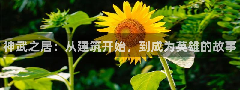 威九国际最近的视频：神武之居：从建筑开始，到成为英雄的故事