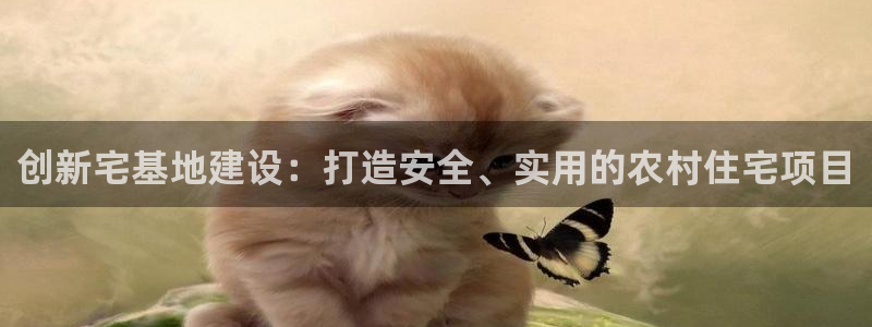 威九国际网站入口官网首页下载：创新宅基地建设：打造安全、实用的农村住宅项目