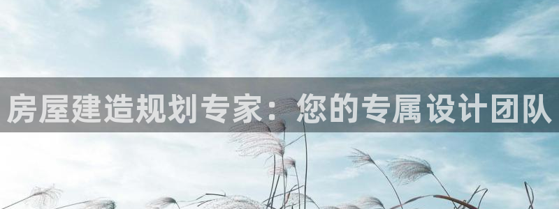 威九国际官方入口：房屋建造规划专家：您的专属设计团队