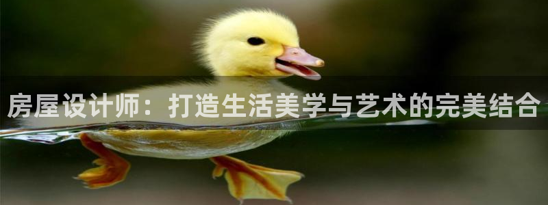 威九国际系列：房屋设计师：打造生活美学与艺术的完美结合
