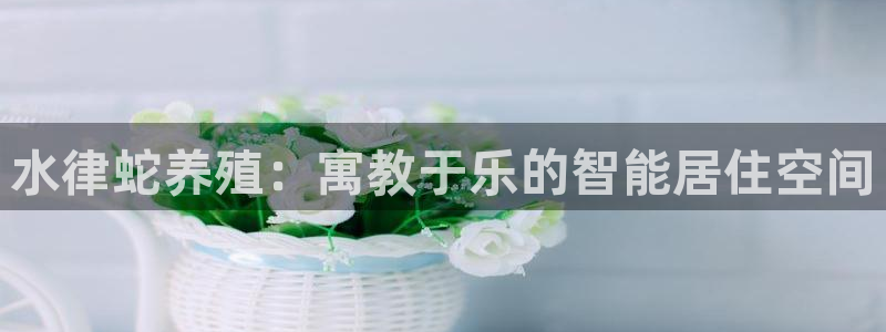 威九国际官网版下载：水律蛇养殖：寓教于乐的智能居住空间
