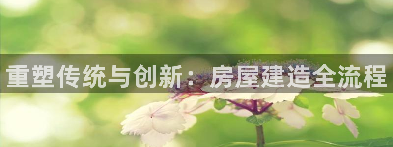威九国际集团66m一6在线：重塑传统与创新：房屋建造全流程
