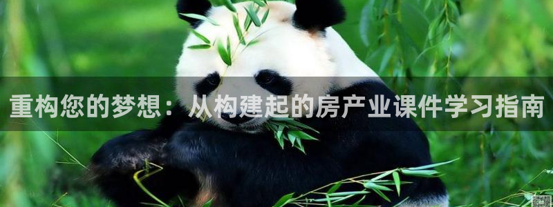 威九国际的演员：重构您的梦想：从构建起的房产业课件学习指南