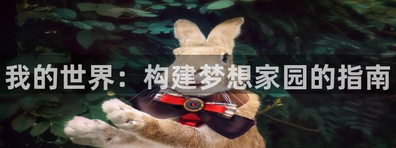 78mapp威九国际一：我的世界：构建梦想家园的指南