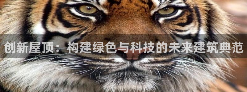 威九国际官方网站最新版本更新内容介绍：创新屋顶：构建绿色与科技的未来建筑典范