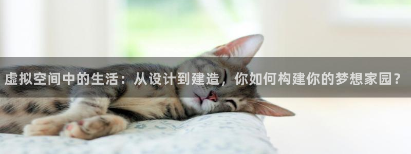 威九国际ppt免费：虚拟空间中的生活：从设计到建造，你如何构建你的梦想家园？