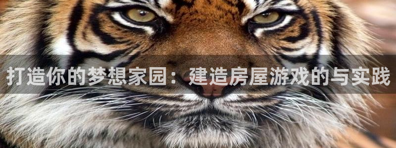 威九国际66m66成长模式：打造你的梦想家园：建造房屋游戏的与实践