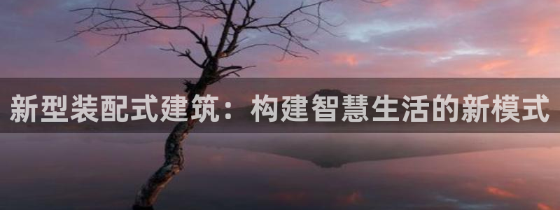 威九国际黑钱：新型装配式建筑：构建智慧生活的新模式