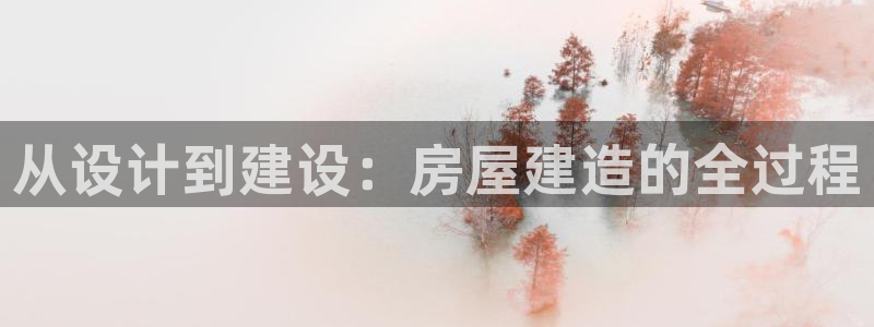 威九国际网站为什么不禁止：从设计到建设：房屋建造的全过程