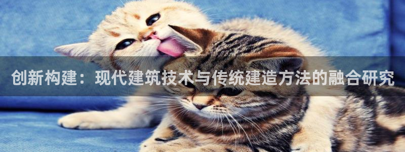 威九国际HP
