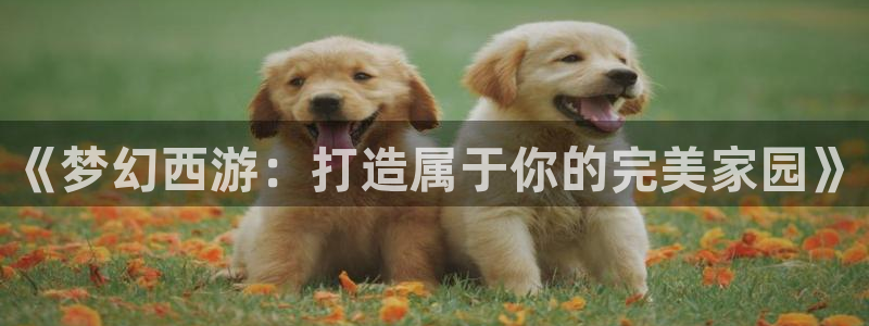 威九国际游戏入口：《梦幻西游：打造属于你的完美家园》