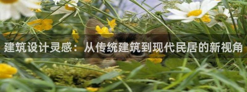 威九国际APP大全：建筑设计灵感：从传统建筑到现代民居的新视角
