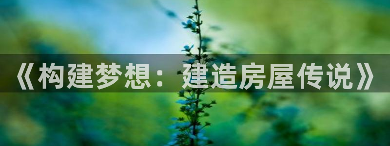 威九国际ppt免费下载：《构建梦想：建造房屋传说》