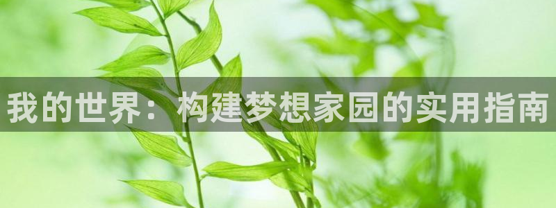 威九国际网站入囗：我的世界：构建梦想家园的实用指南