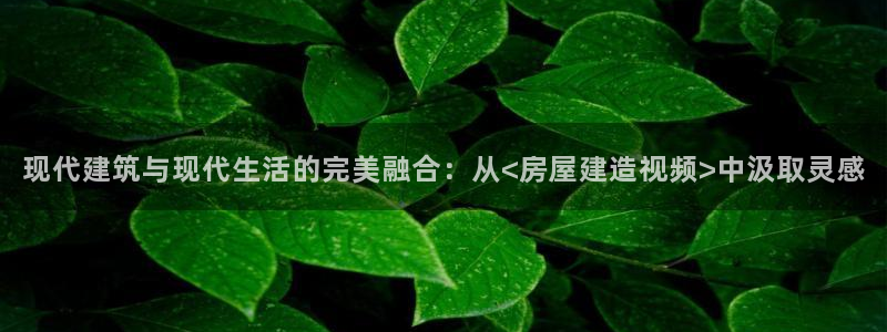 威九国际女演员名单介绍：现代建筑与现代生活的完美融合：从<房屋建造视频>中汲取灵感