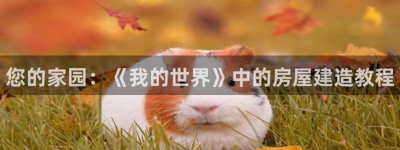 威九国际78mapp：您的家园：《我的世界》中的房屋建造教程