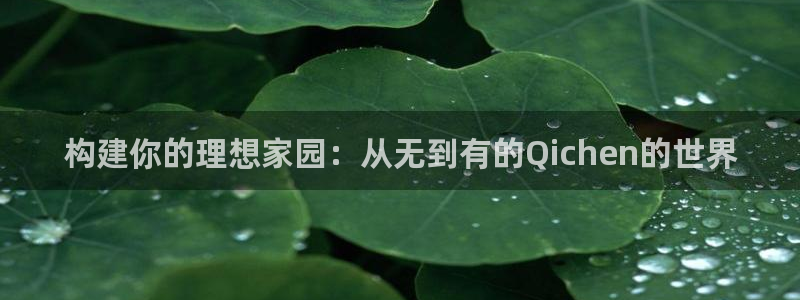 威九国际图片：构建你的理想家园：从无到有的Qichen的世界