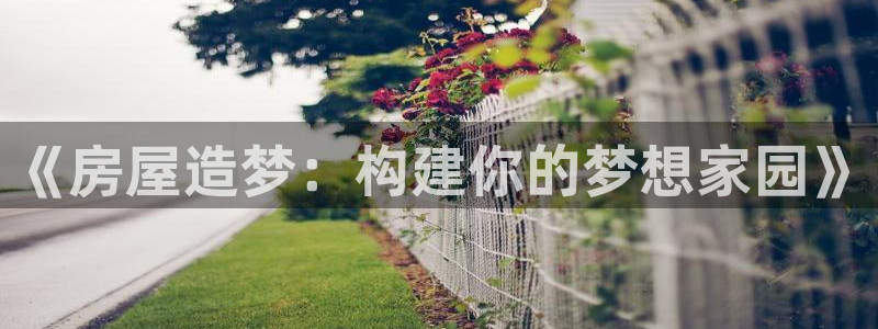 威九国际h5：《房屋造梦：构建你的梦想家园》