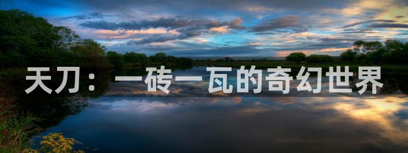 威九国际app网站安全吗：天刀：一砖一瓦的奇幻世界