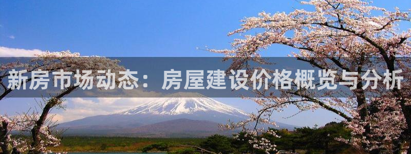 威九国际78：新房市场动态：房屋建设价格概览与分析