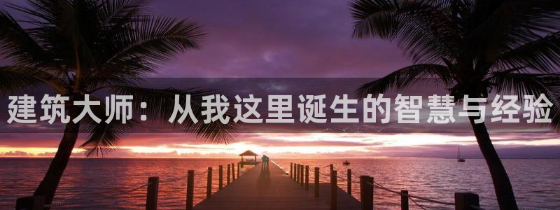 威九国际ppt免费：建筑大师：从我这里诞生的智慧与经验