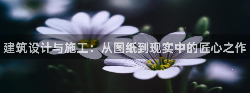 威九国际免费进入：建筑设计与施工：从图纸到现实中的匠心之作