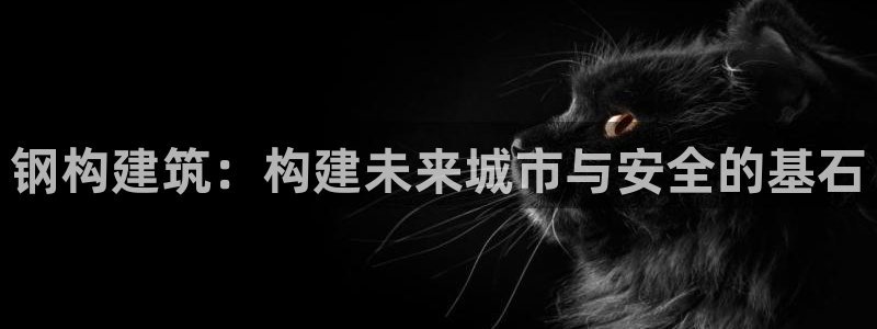 威九国际网站入口官网首页：钢构建筑：构建未来城市与安全的基石