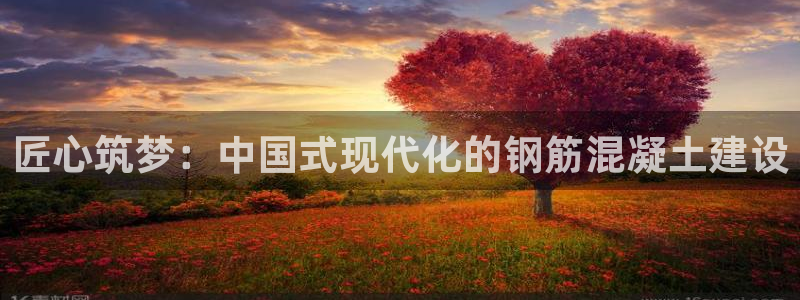 威九国际app客服电话：匠心筑梦：中国式现代化的钢筋混凝土建设