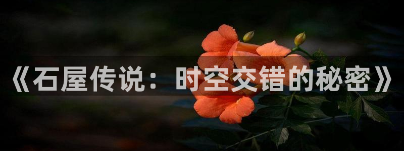 威九国际网站怎么样可靠吗