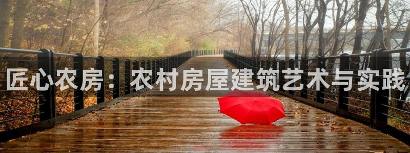 威九国际78mann：匠心农房：农村房屋建筑艺术与实践