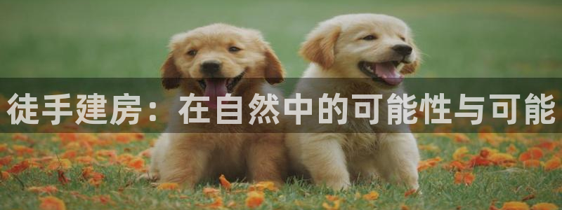 威九国际官方下载：徒手建房：在自然中的可能性与可能
