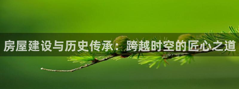 威九国际app网站官网：房屋建设与历史传承：跨越时空的匠心之道