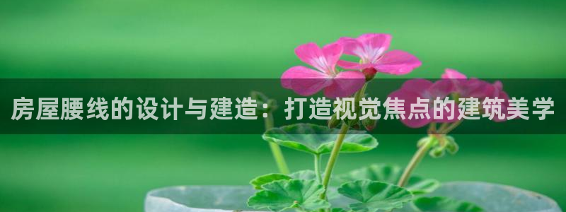 威九国际空降服务女演员名字：房屋腰线的设计与建造：打造视觉焦点的建筑美学