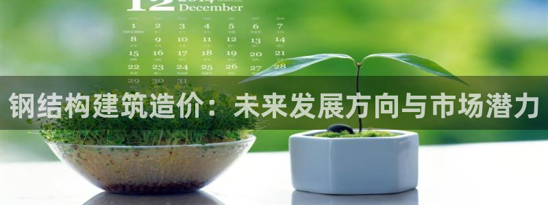 66m成长模式视频威九国际视频：钢结构建筑造价：未来发展方向与市场潜力