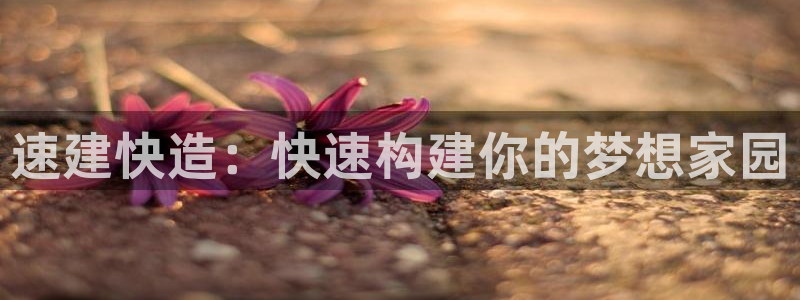 威九国际8ⅹ8x：速建快造：快速构建你的梦想家园