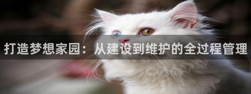 威九国际发布新版eBzxin2Tp：打造梦想家园：从建设到维护的全过程管理