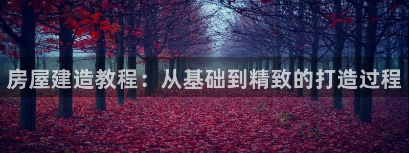 威九国际游戏：房屋建造教程：从基础到精致的打造过程