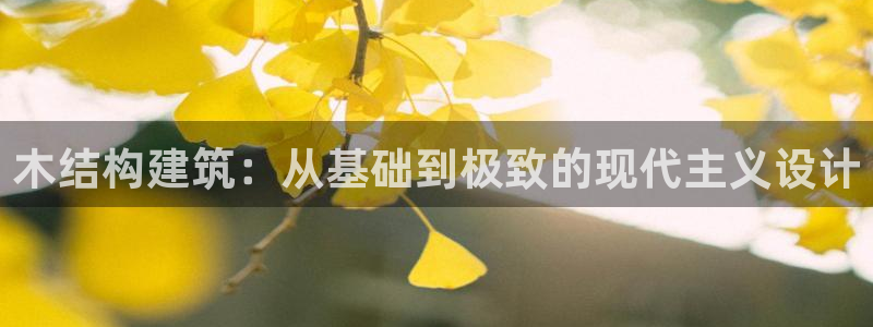 威九国际APP：木结构建筑：从基础到极致的现代主义设计