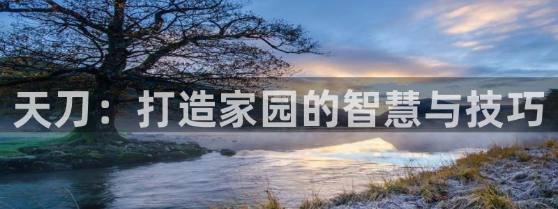 威九国际网站经常打不开怎么办：天刀：打造家园的智慧与技巧