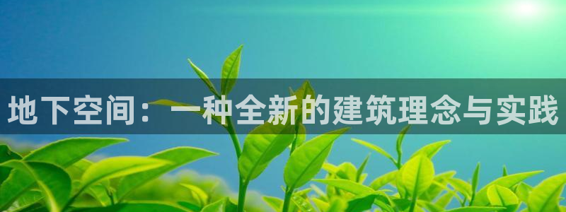 威九国际78mb下载：地下空间：一种全新的建筑理念与实践