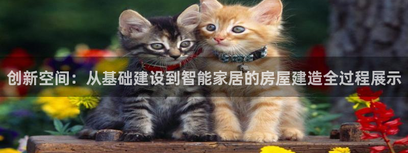威九国际体育app下载：创新空间：从基础建设到智能家居的房屋建造全过程展示