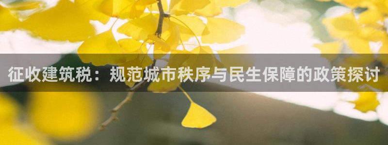 威九国际精：征收建筑税：规范城市秩序与民生保障的政策探讨