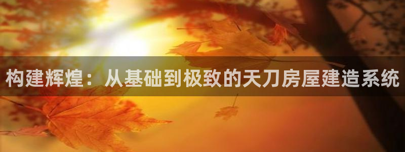 威九国际app网站官网：构建辉煌：从基础到极致的天刀房屋建造系统