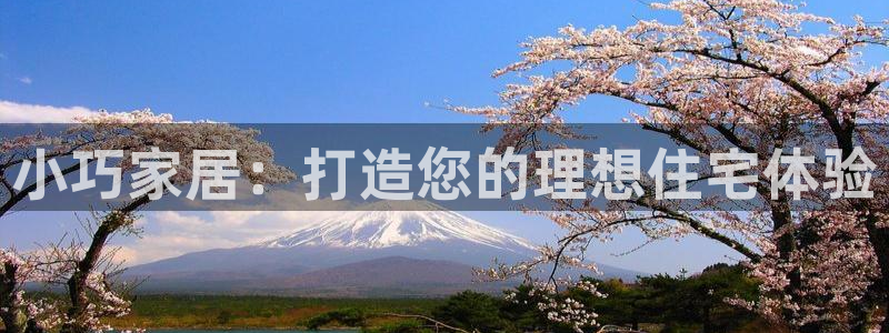 威九国际能提现吗安全吗：小巧家居：打造您的理想住宅体验