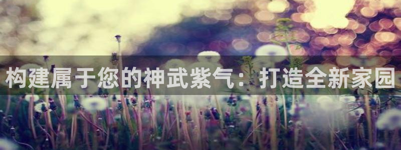 威九国际78mob游戏亮点：构建属于您的神武紫气：打造全新家园