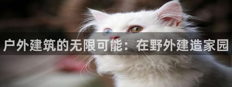 威九国际66m66m电影：户外建筑的无限可能：在野外建造家园