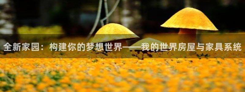 威九国际海域：全新家园：构建你的梦想世界——我的世界房屋与家具系统