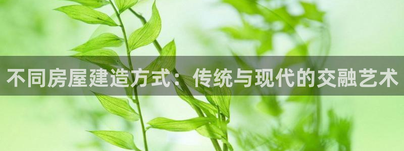 威九国际网站客服电话多少号：不同房屋建造方式：传统与现代的交融艺术