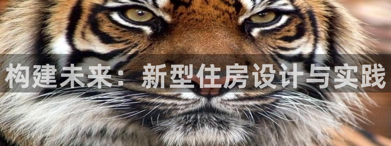 威九国际网站入口官网免费：构建未来：新型住房设计与实践