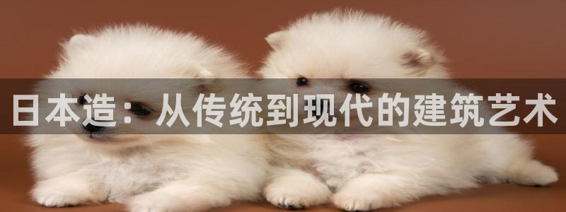 威九国际app下载：日本造：从传统到现代的建筑艺术